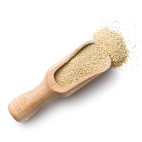 /wp-content/uploads/2017/05/ingredients_transparent_02.png